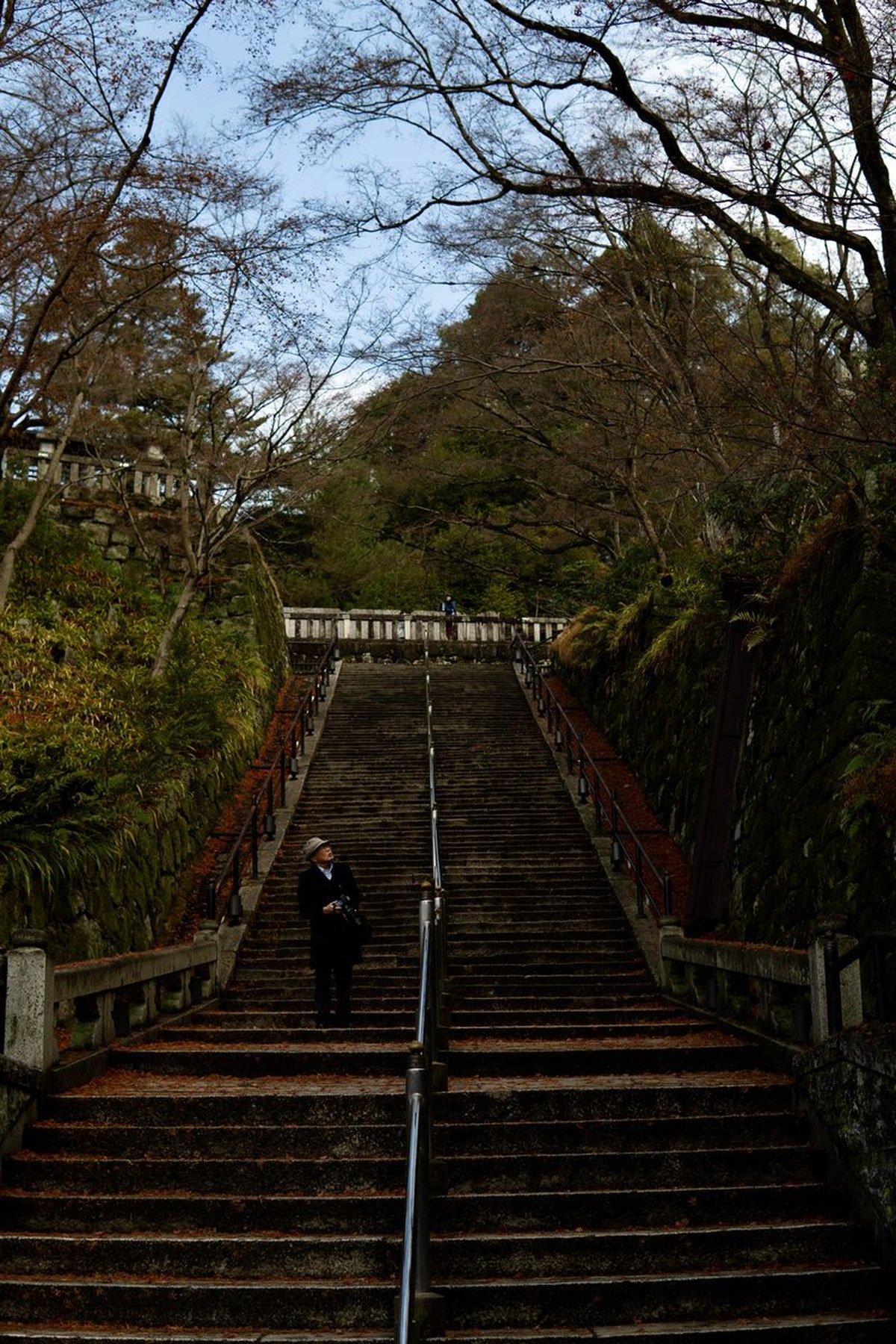 Temple stairs, Kyoto