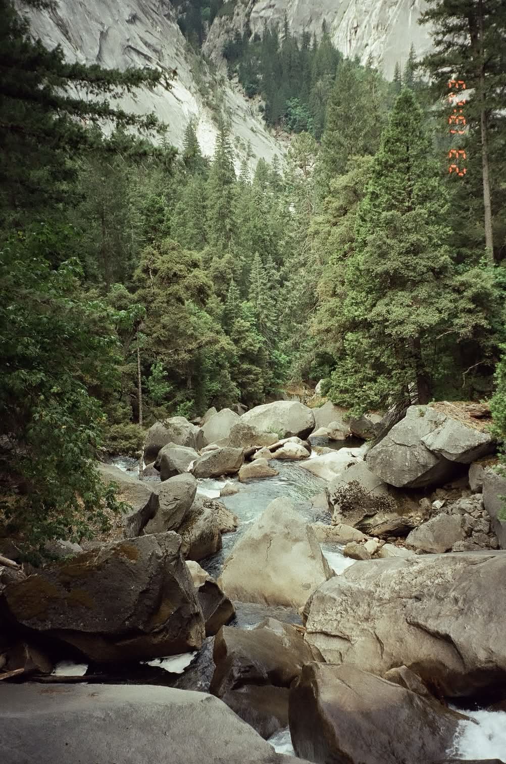 Boulder-strewn river through the Yosemite forest, shot on 35mm film
