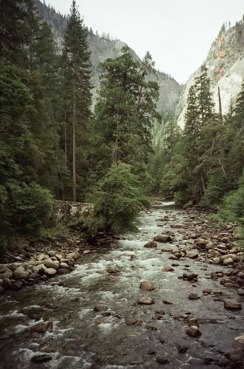 River winding through pines toward granite peaks, shot on 35mm film