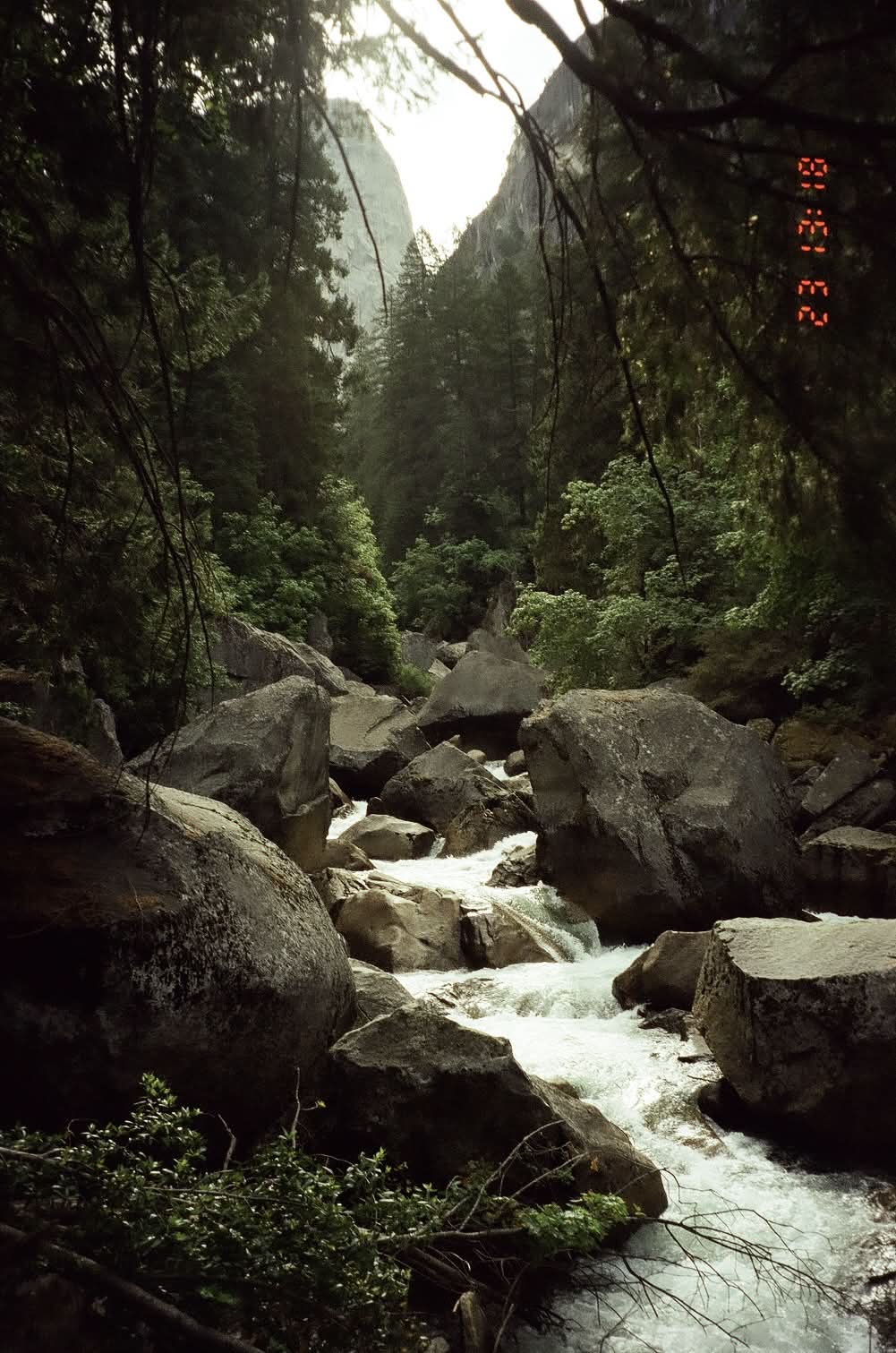 Whitewater cascading through boulders in the forest, shot on 35mm film